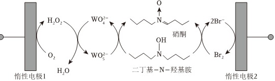 菁优网