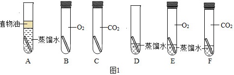 菁优网