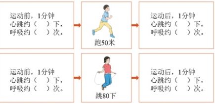 菁优网